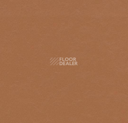 Линолеум Forbo Marmoleum Decibel on Order 337035 terracotta фото 1 | FLOORDEALER